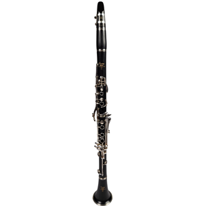 Yamaha YCL CS Series Professional A Clarinet with Yamaha dual clarinet case