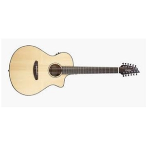 Breedlove Pursuit 12 String W/bag