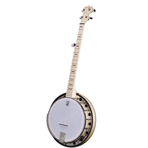 Deering Goodtime Two 5-string Resonator Banjo