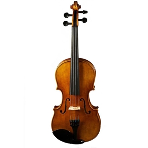 Scott Cao 4/4 Violin Outfit W/dominant Strings & Wittner Tailpiece