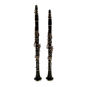 Yamaha CS Series Professional Bb & A Clarinet Pair (Consignment)