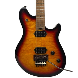 Used EVH Wolfgang WG Standard QM Electric Guitar