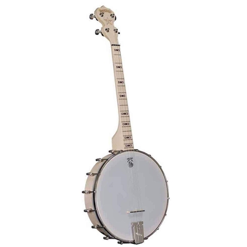 Deering Goodtime 19-Fret Tenor Banjo